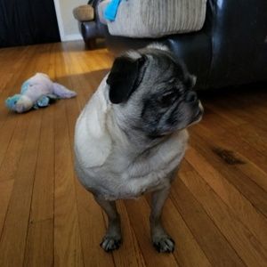 Meet your Posher, Kara